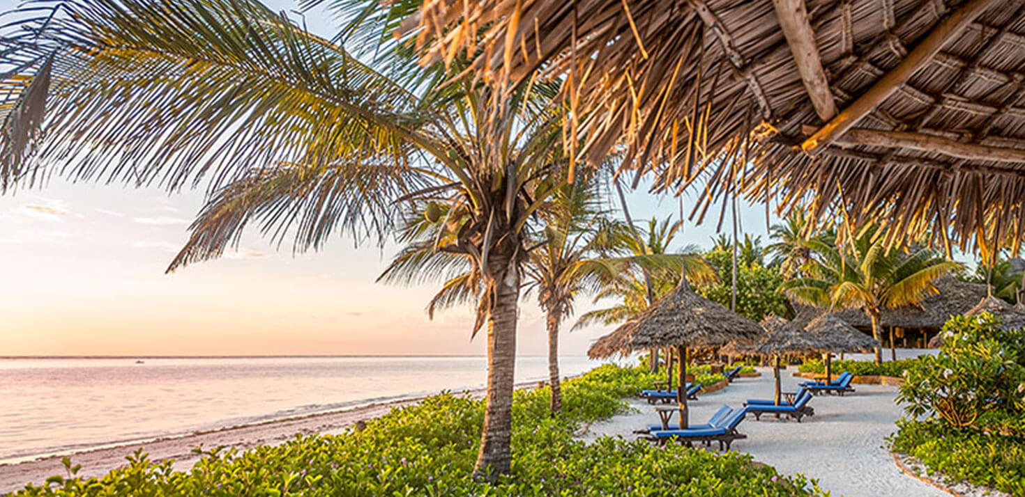 A Tropical Christmas Holiday