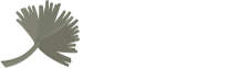 Palms Zanzibar